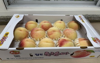 KakaoTalk_20250814_100551691.jpg